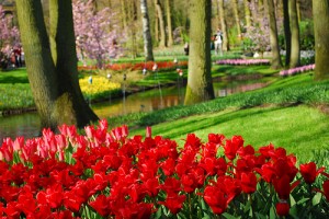 Keukenhof Keukenhof