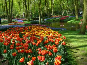 Keukenhof Keukenhof
